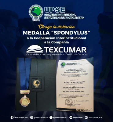 distincion medalla