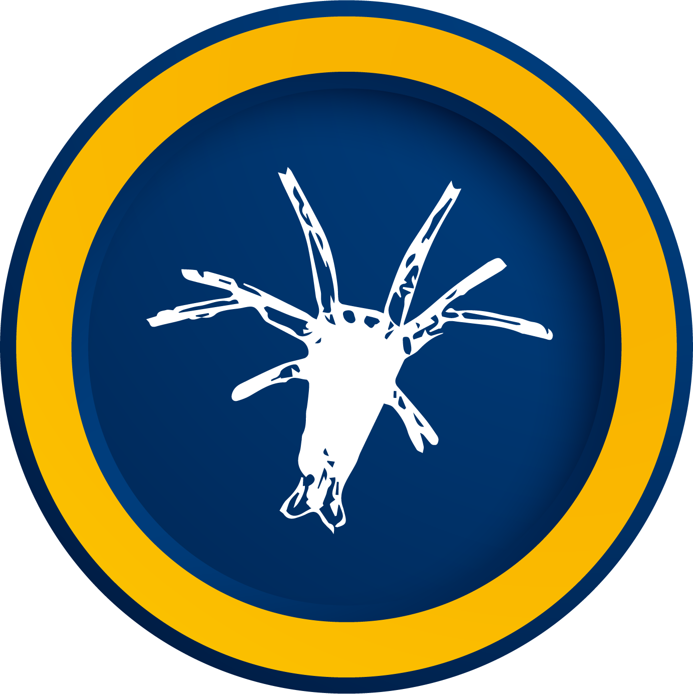 naupliv